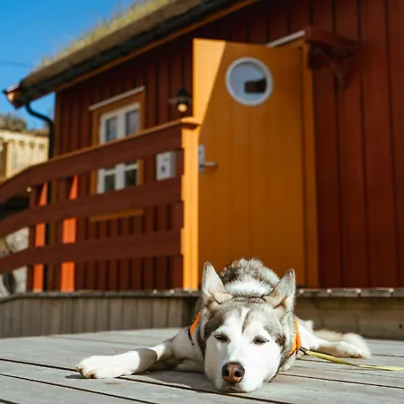 Reinefjorden Sjohus Apartmán