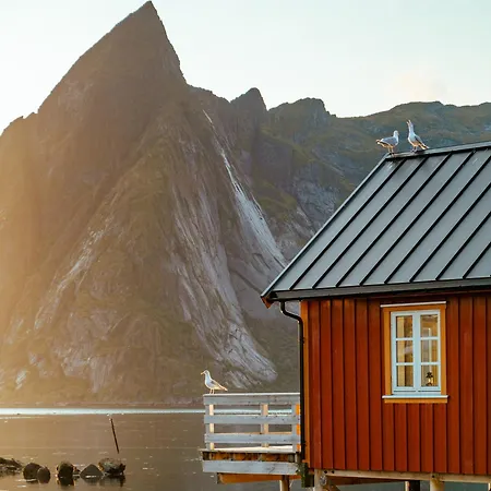 Reinefjorden Sjohus Reine