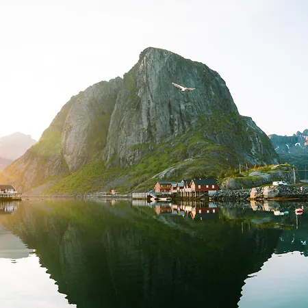 Reinefjorden Sjohus Reine