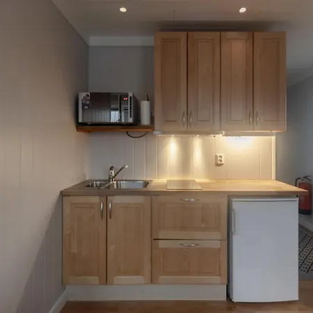 索胡斯公寓 公寓 雷讷