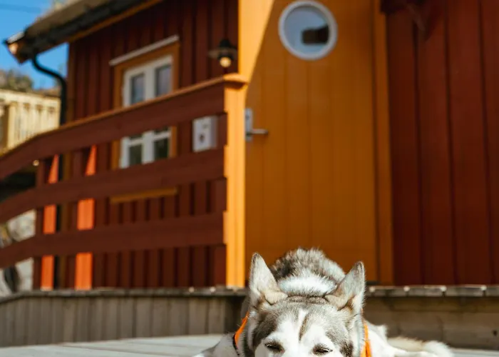 Reinefjorden Sjohus Appartamento