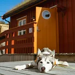 Reinefjorden Sjohus Daire